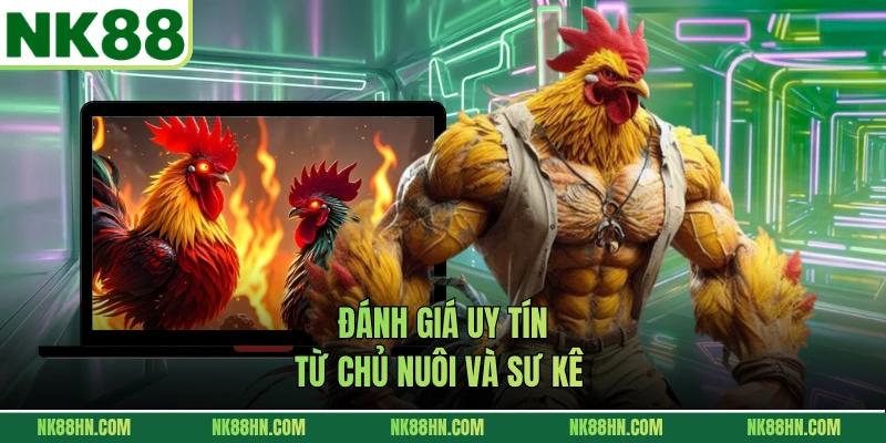 Đánh giá uy tín từ chủ nuôi và sư kê